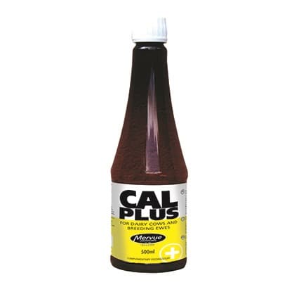 calplus1