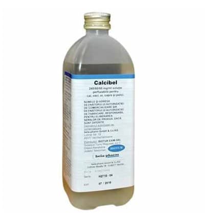 calcibel1