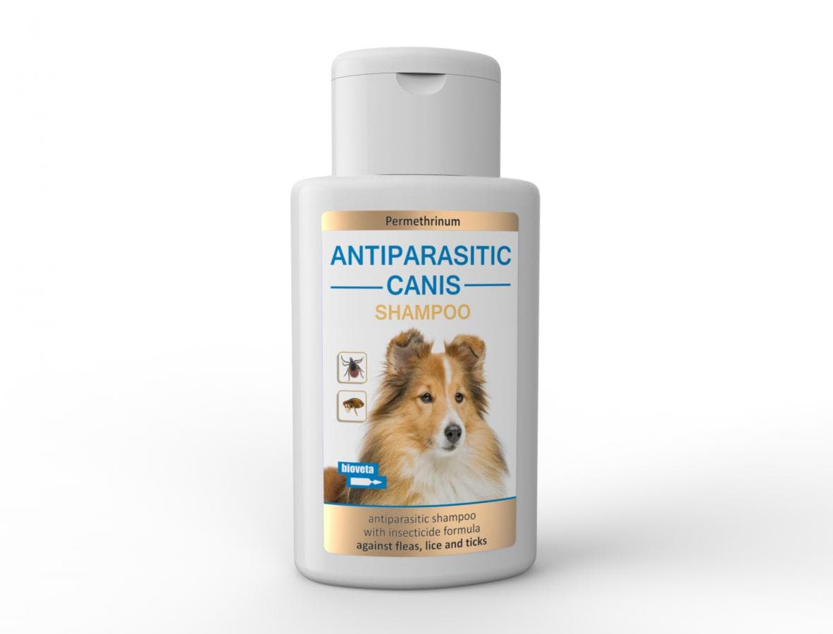 canis shampoo new GB