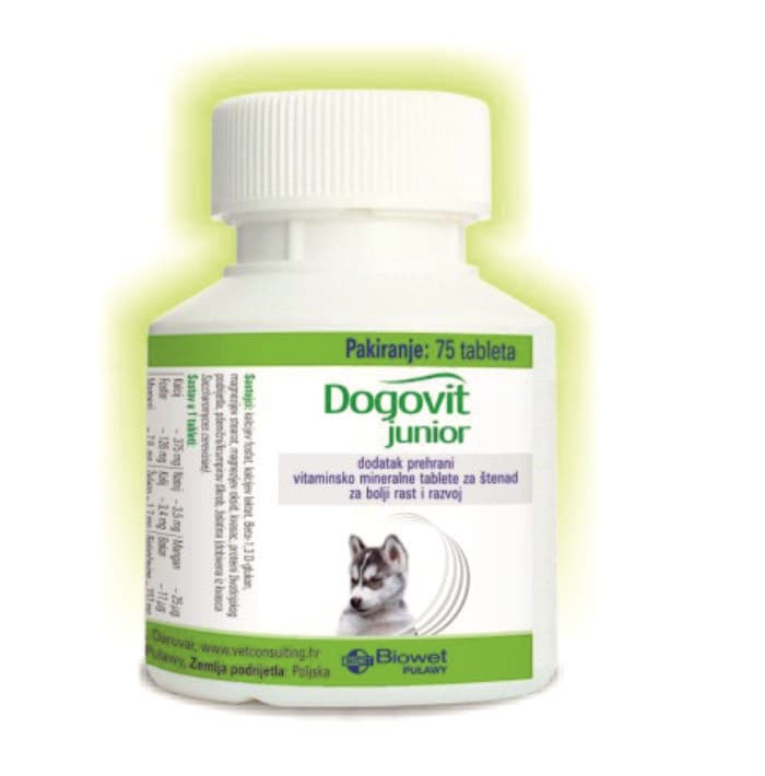 Dogovit Junior1