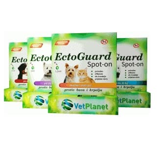 ecto guard ampule1