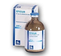 Eficur 1a