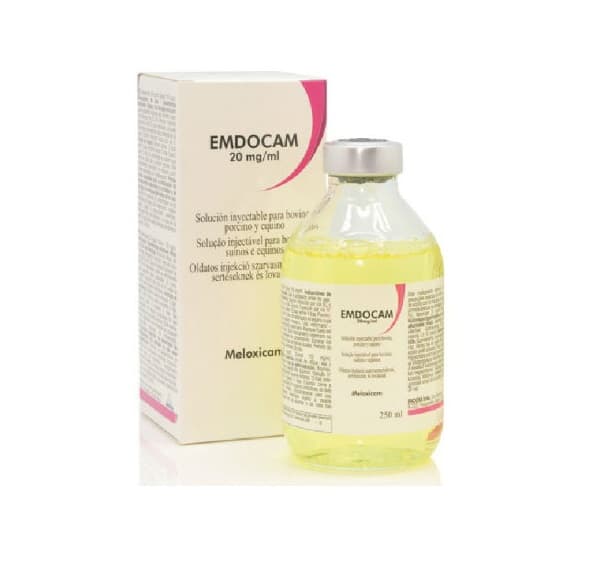 EMDOCAM 1