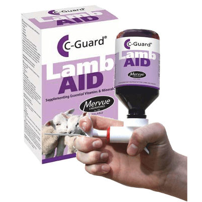 lambaid1