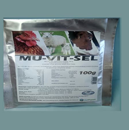Mu vit sel 1a