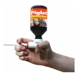 piglet booster1a