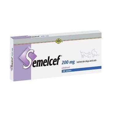 semelcef 200b
