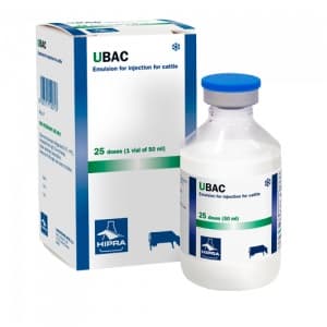 Ubac 1