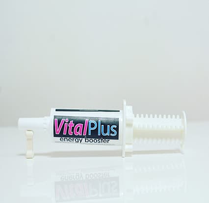 VitalPlus Gel scaled 1