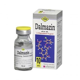 dalmazin1
