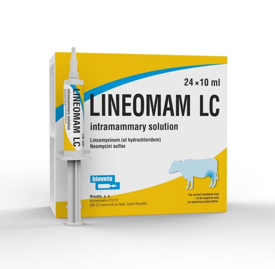 lineomam 1