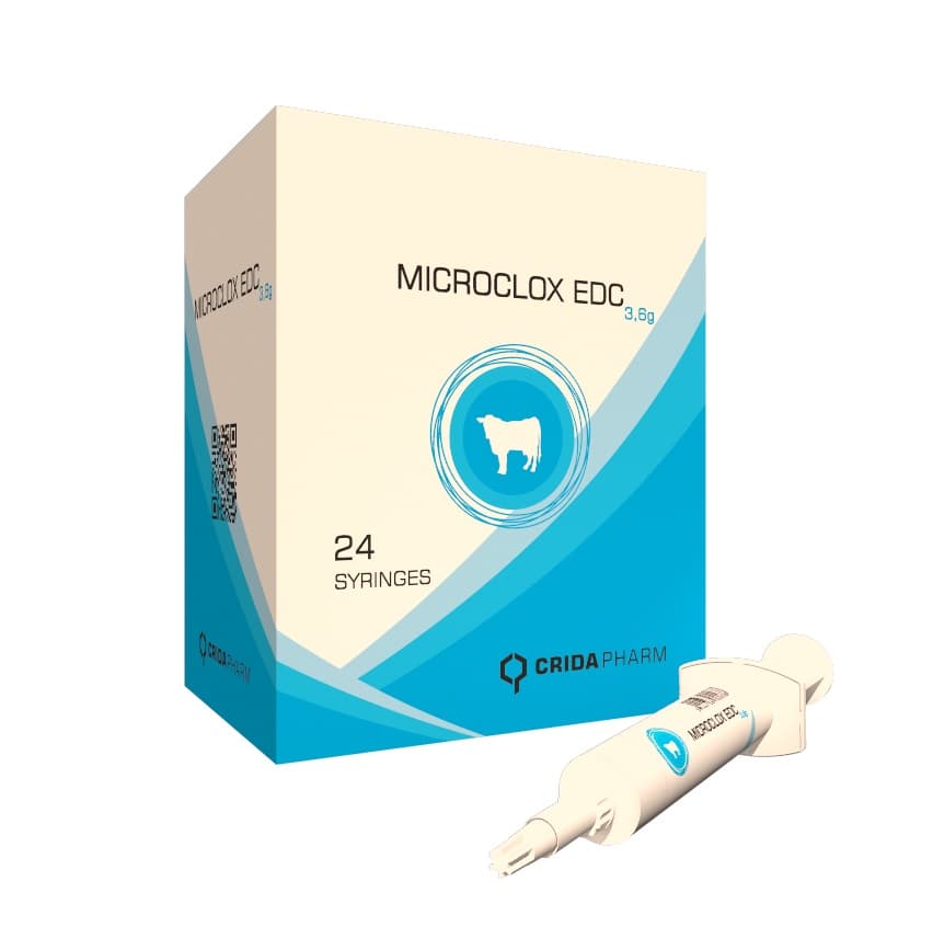MICROCLOX 1